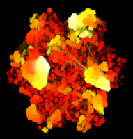 77_pgraph-gosper-depth-sml.png